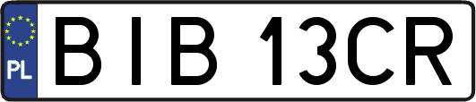 BIB13CR