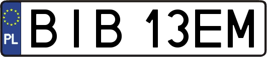BIB13EM