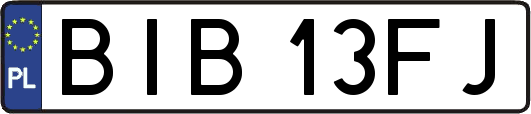 BIB13FJ
