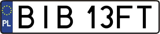 BIB13FT
