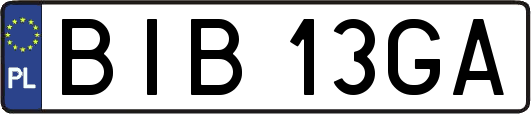 BIB13GA