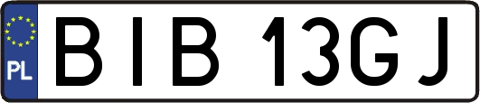 BIB13GJ