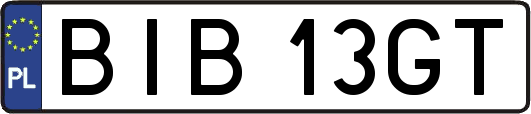BIB13GT