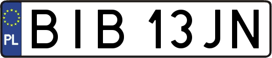 BIB13JN