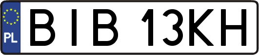 BIB13KH