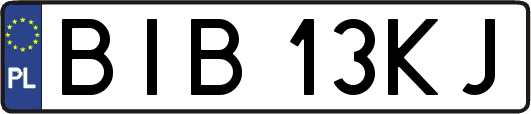 BIB13KJ
