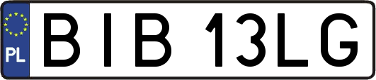 BIB13LG
