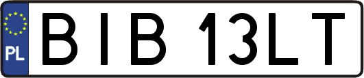 BIB13LT