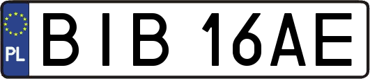 BIB16AE