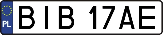 BIB17AE