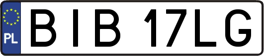 BIB17LG