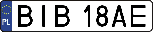 BIB18AE