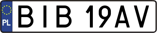 BIB19AV
