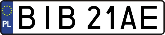 BIB21AE