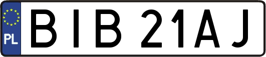 BIB21AJ