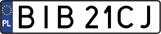 BIB21CJ