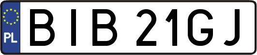 BIB21GJ