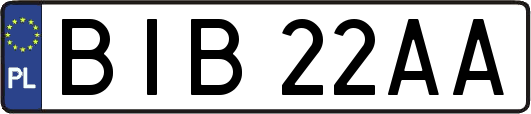 BIB22AA