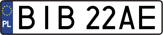 BIB22AE