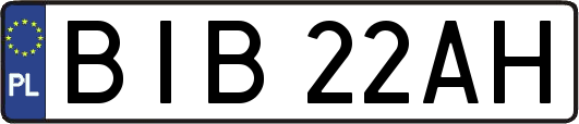 BIB22AH