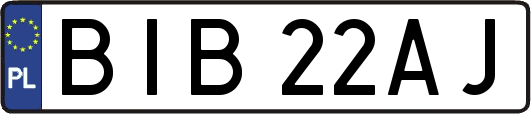 BIB22AJ