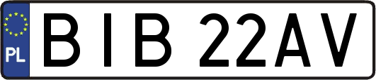 BIB22AV