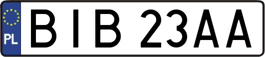 BIB23AA