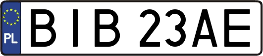 BIB23AE