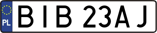 BIB23AJ