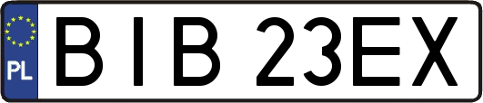 BIB23EX