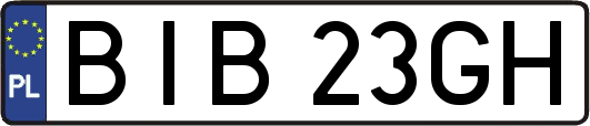 BIB23GH