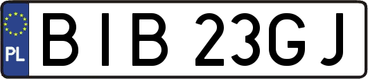 BIB23GJ