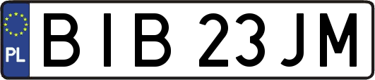 BIB23JM