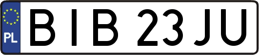 BIB23JU