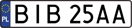 BIB25AA
