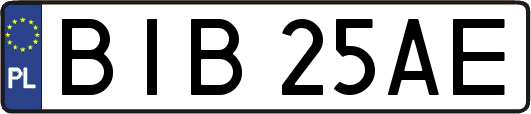 BIB25AE