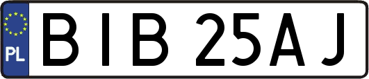 BIB25AJ