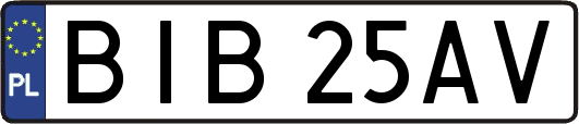 BIB25AV
