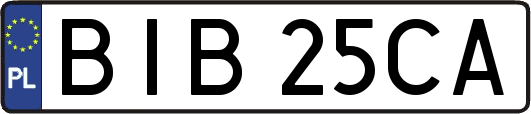 BIB25CA