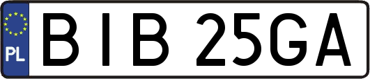 BIB25GA