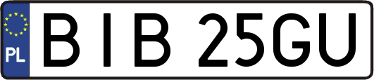 BIB25GU
