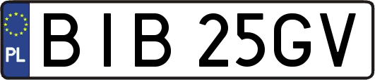 BIB25GV