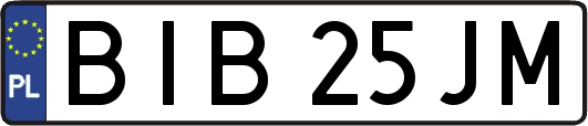 BIB25JM