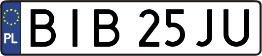 BIB25JU