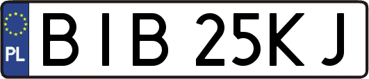 BIB25KJ