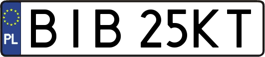 BIB25KT