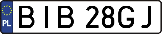 BIB28GJ