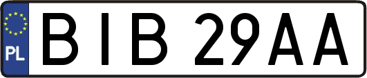BIB29AA