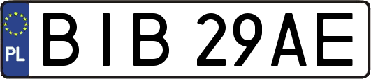 BIB29AE