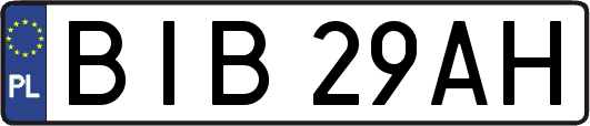 BIB29AH